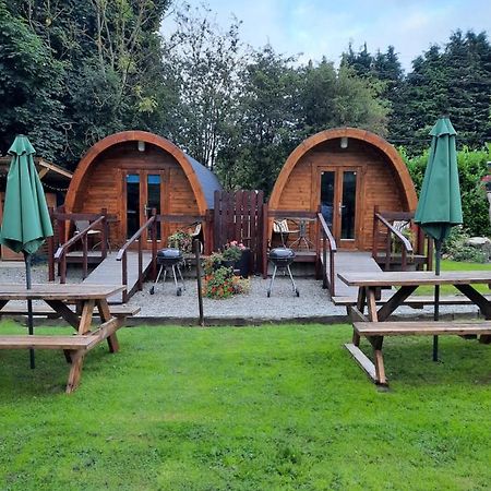 Log Cabin Kells  Εξωτερικό φωτογραφία