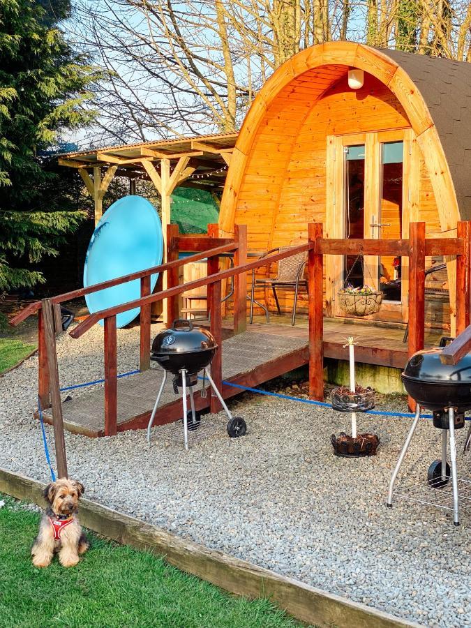 Log Cabin Kells  Εξωτερικό φωτογραφία