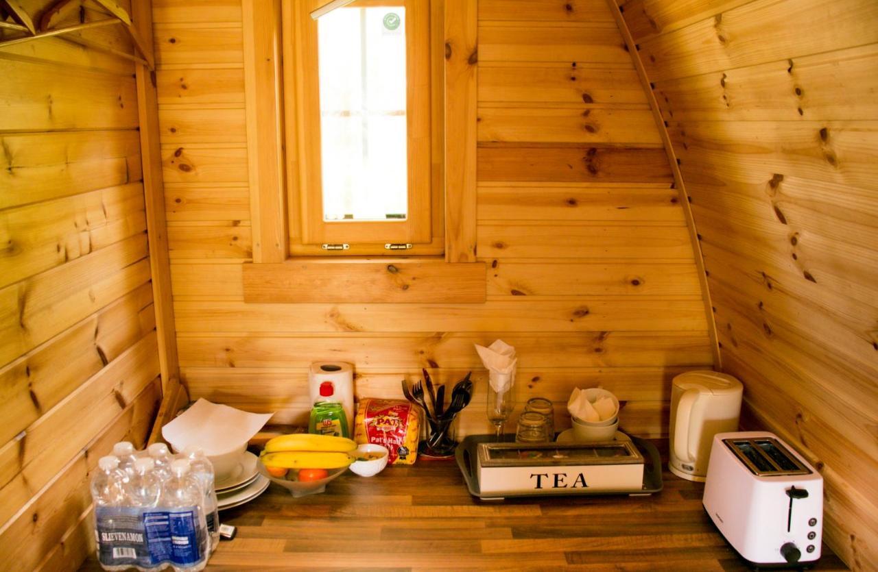 Log Cabin Kells  Εξωτερικό φωτογραφία