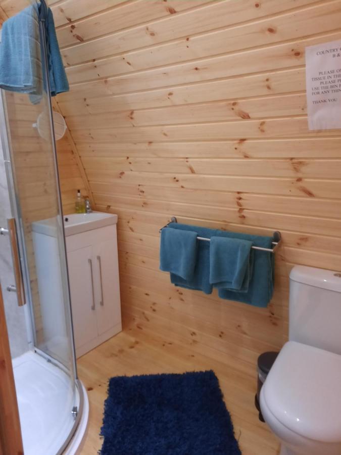 Log Cabin Kells  Εξωτερικό φωτογραφία
