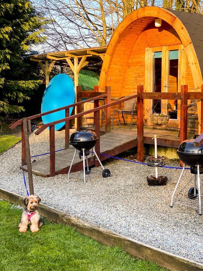 Log Cabin Kells  Εξωτερικό φωτογραφία